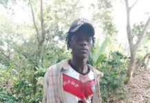 Detienen haitiano hirió dominicano con machete en Villa Jaragua.