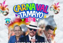 Aramis, Fénix y Monchy culminarán carnaval de Tamayo.