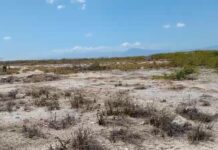 Agricultores en Bahoruco reclaman excluir terrenos agrícolas de Parque La Gran Sabana.
