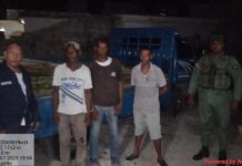 Senpa detiene tres hombres con camión cargado de madera.