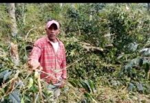 Agricultores en Sierra de Neyba reclaman apoyo por daños provocados por aguaceros el pasado domingo.