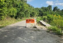 Reclaman de UTEPDA y ayuntamiento caminos interparcelarios antes de asfaltar carretera Neyba-El Aguacate.