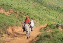 Camino vecinal el Aguacate de Neyba-Batista del Cercado contribuiría al desarrollo del Sur.