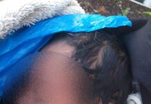 Comunitarios rescatan con vida recién nacida abandonada en Jarabacoa